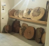 TORNIAMO SULLA ASSURDA VICENDA DELLA SILOTECA COMUNALE CHIUSA DA 5 LUNGHI ANNI