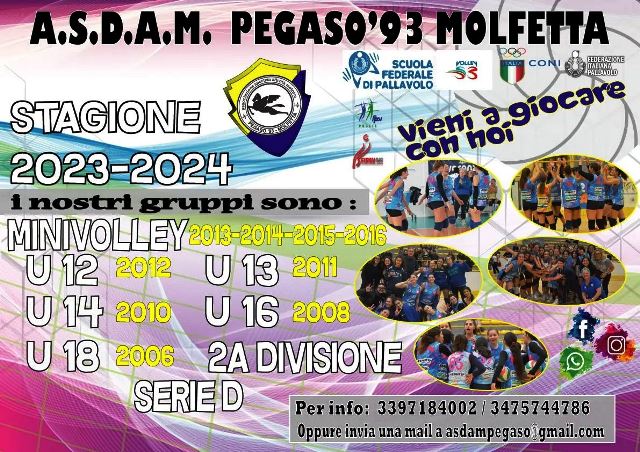 VIENI A GIOCARE CON NOI  RIPARTE LATTIVIT DELLASDAM PEGASO 93 MOLFETTA