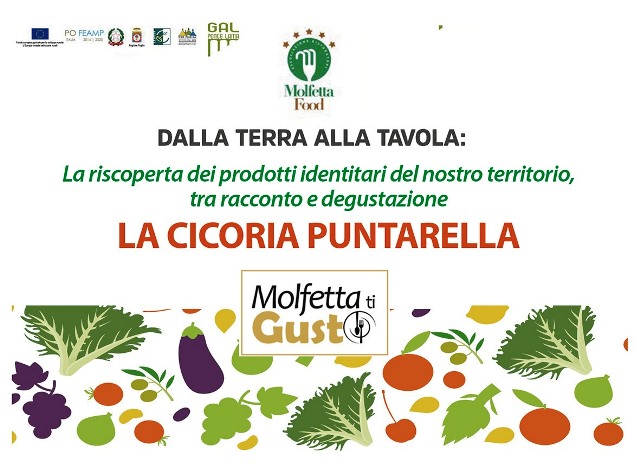 DOMENICA 26 NOVEMBRE UNA GIORNATA DEDICATA ALLA PROMOZIONE DELLE PRODUZIONI AGROALIMENTARI LOCALI: LA CICORIA PUNTARELLE DI MOLFETTA