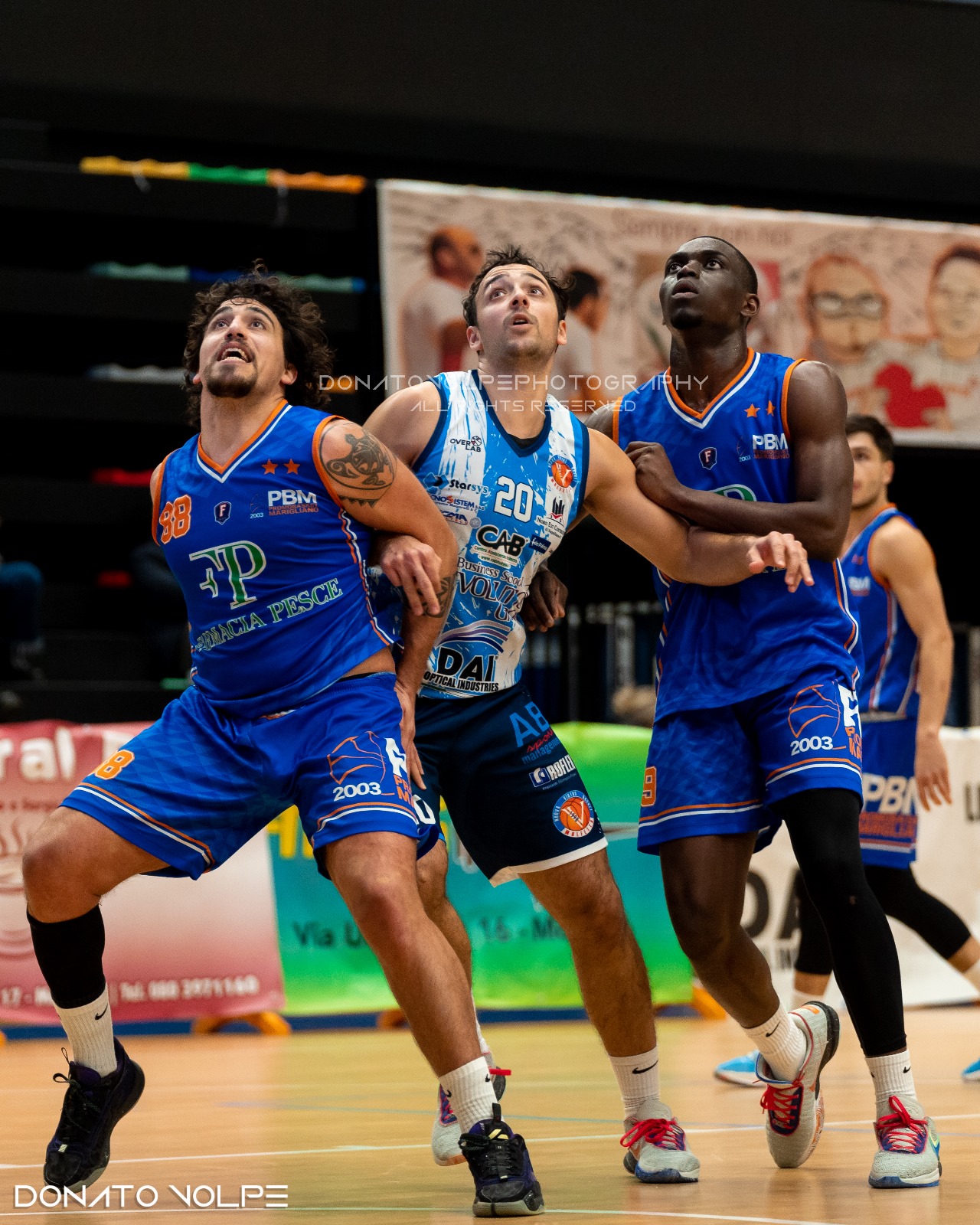 LA VIRTUS MOLFETTA CEDE IN CASA AL BISCEGLIE CHE SI AGGIUDICA IL DERBY