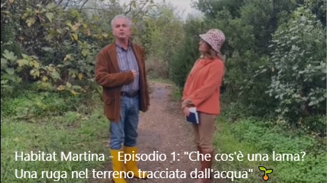 IL CIRCOLO LEGAMBIENTE DI MOLFETTA GIOVANNA GRILLO HA ORGANIZZATO UNA PASSEGGIATA A LAMA MARTINA CON IL PROF. MARCELLO MASTRORILLI