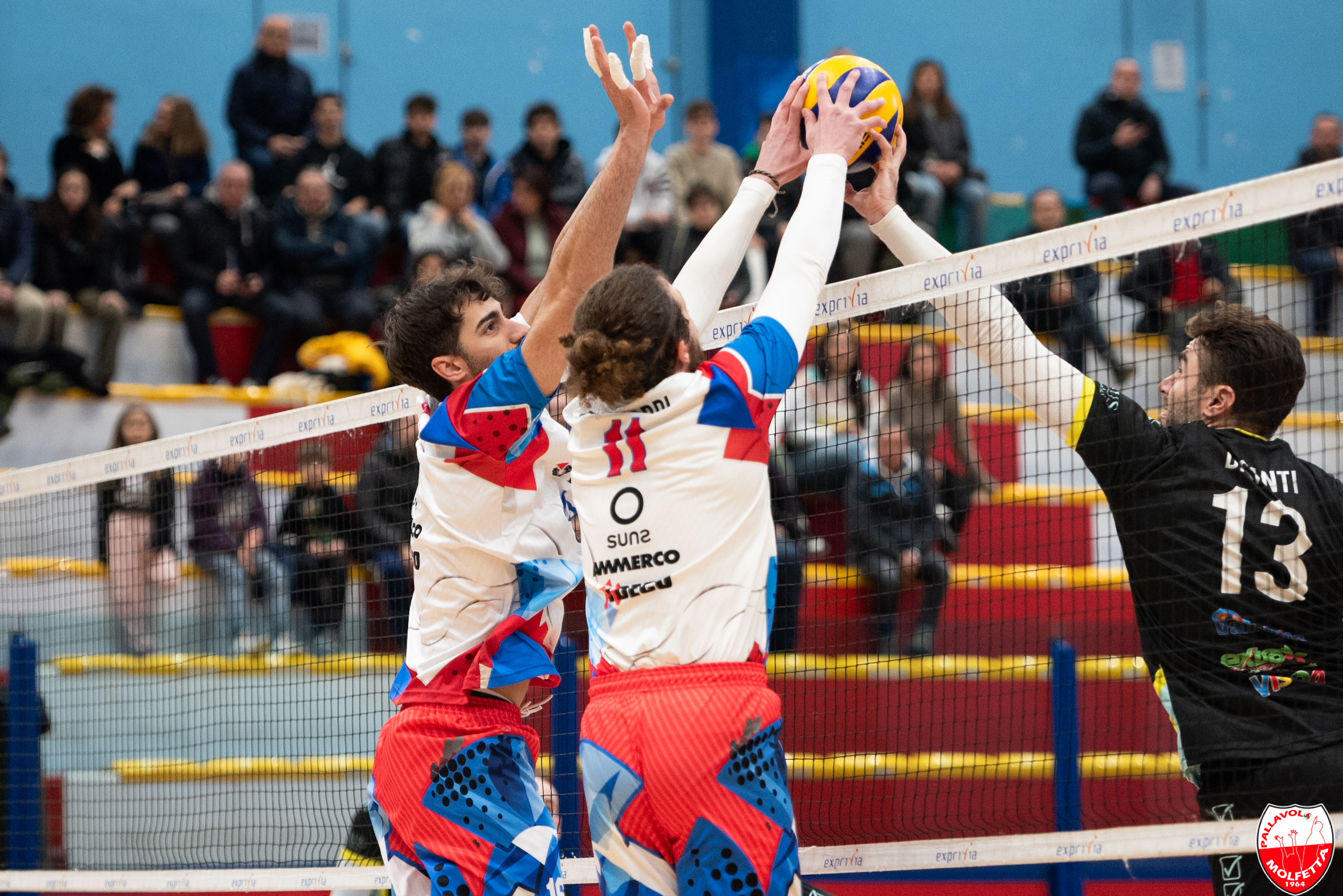 SFIDA TRA CITTA' STORICHE DEL VOLLEY: L'INDECO MOLFETTA OSPITA IL TAVIANO