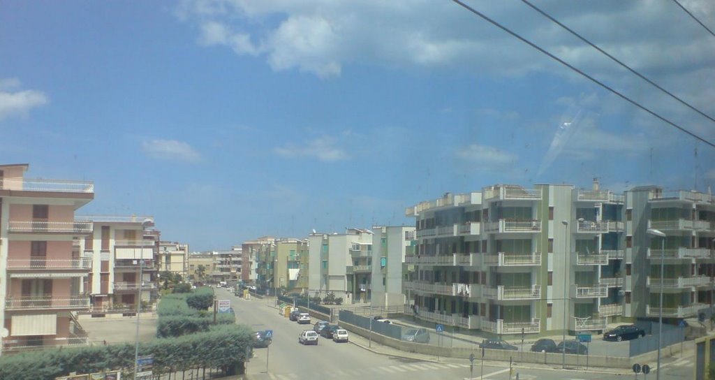 EDILIZIA AL PALO