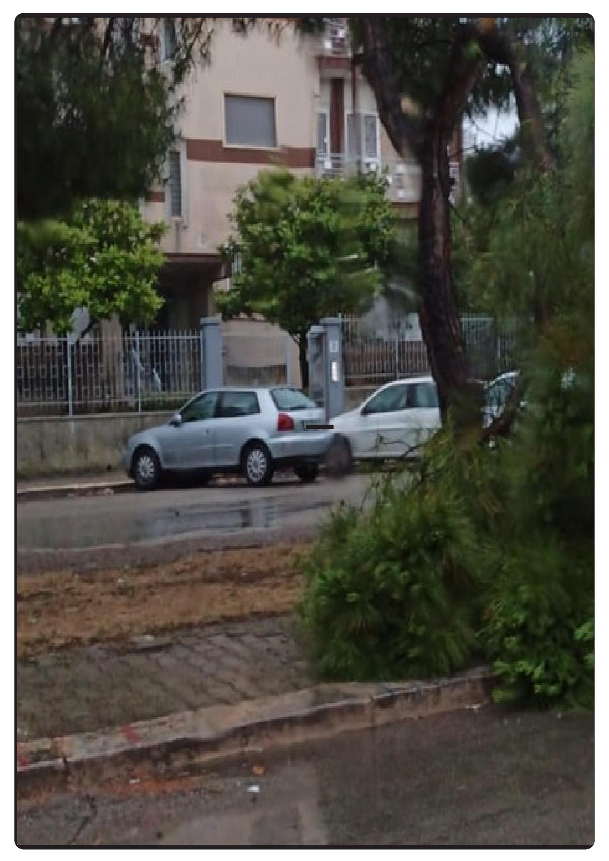 QUEI PINI TAGLIATI IN VIA DON MINZONI: DEFINITA LA STRAGE DI VIA DON MINZONI
