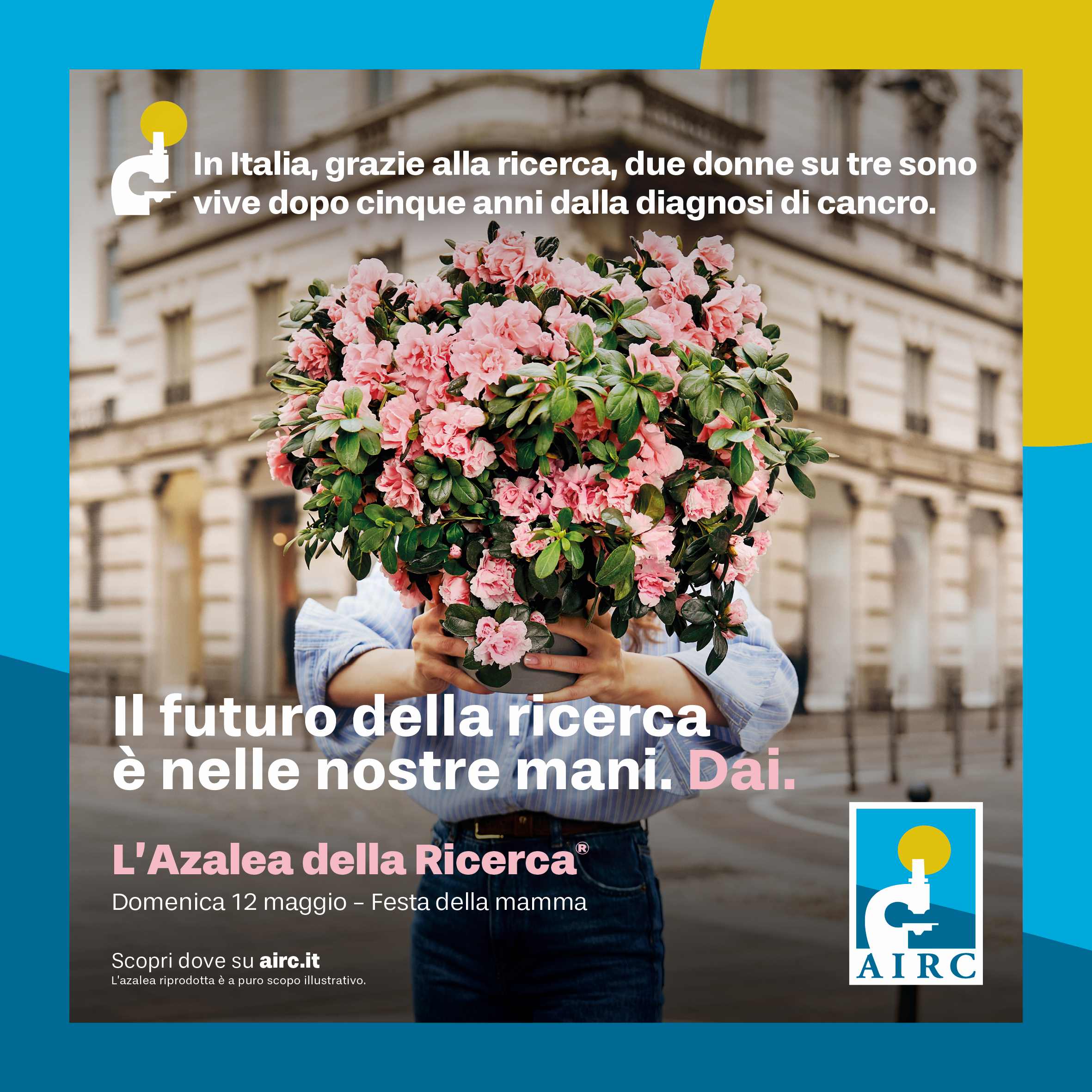IL 12 MAGGIO LA FESTA DELLA MAMMA: ANCHE A MOLFETTA LA VENDITA DI ALZALEE DELLA RICERCA
