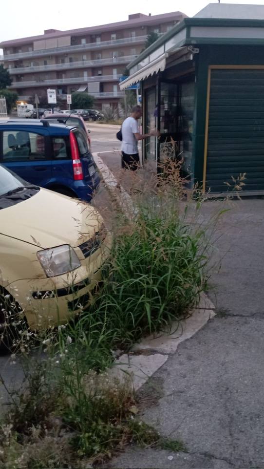 UNA FOTO DI UN NOSTRO LETTORE DENUNCIA LE CONDIZIONI DELLE STRADE DI MOLFETTA