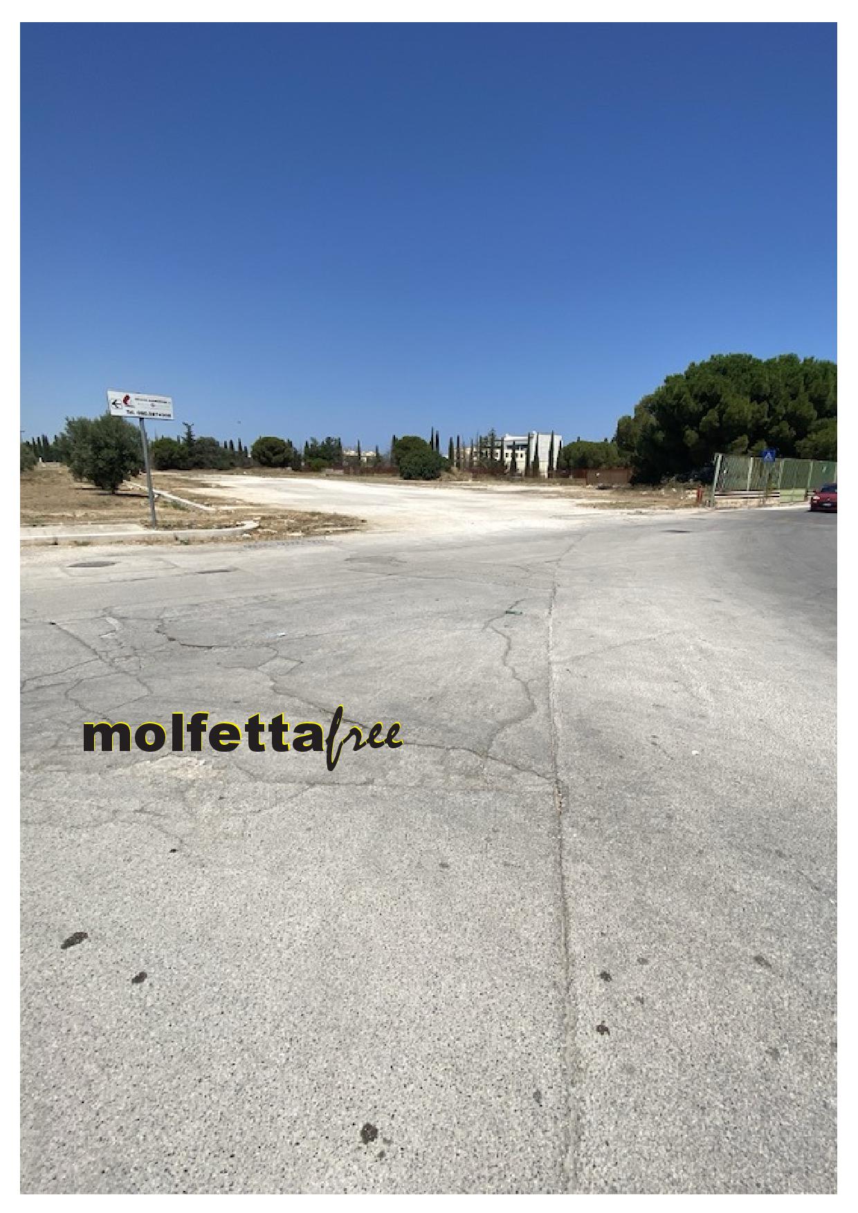 TORNA IL CIRCO A MOLFETTA MA NELLA LOCATION DI VIA CADUTI SUL LAVORO EX PAL BERTIG