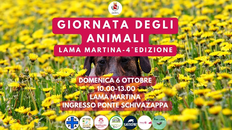DOMENICA 6 OTTOBRE SI SVOLGER ALLA LAMA MARTINA LA QUARTA EDIZIONE DELLA GIORNATA DEGLI ANIMALI 