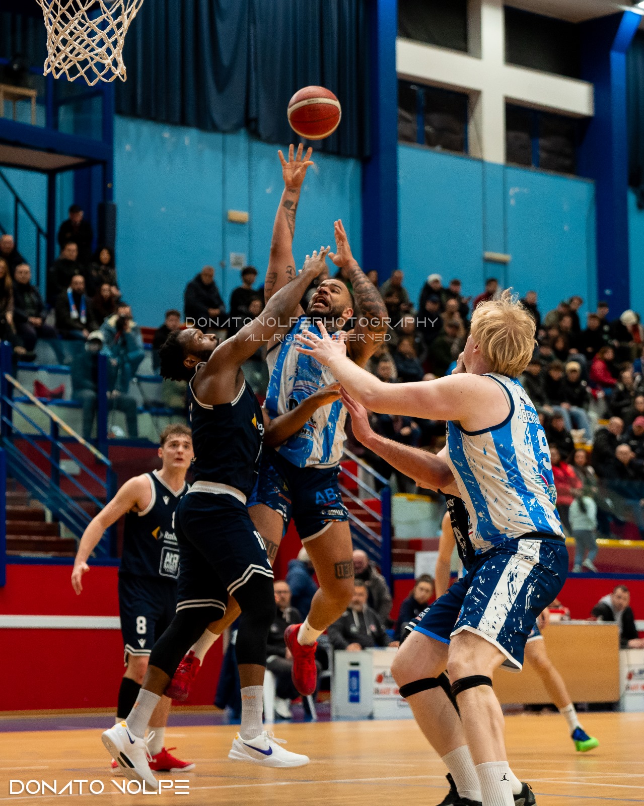 SFIDA TRA LIONS BISCEGLIE E DAI OPTICAL VIRTUS BASKET MOLFETTA