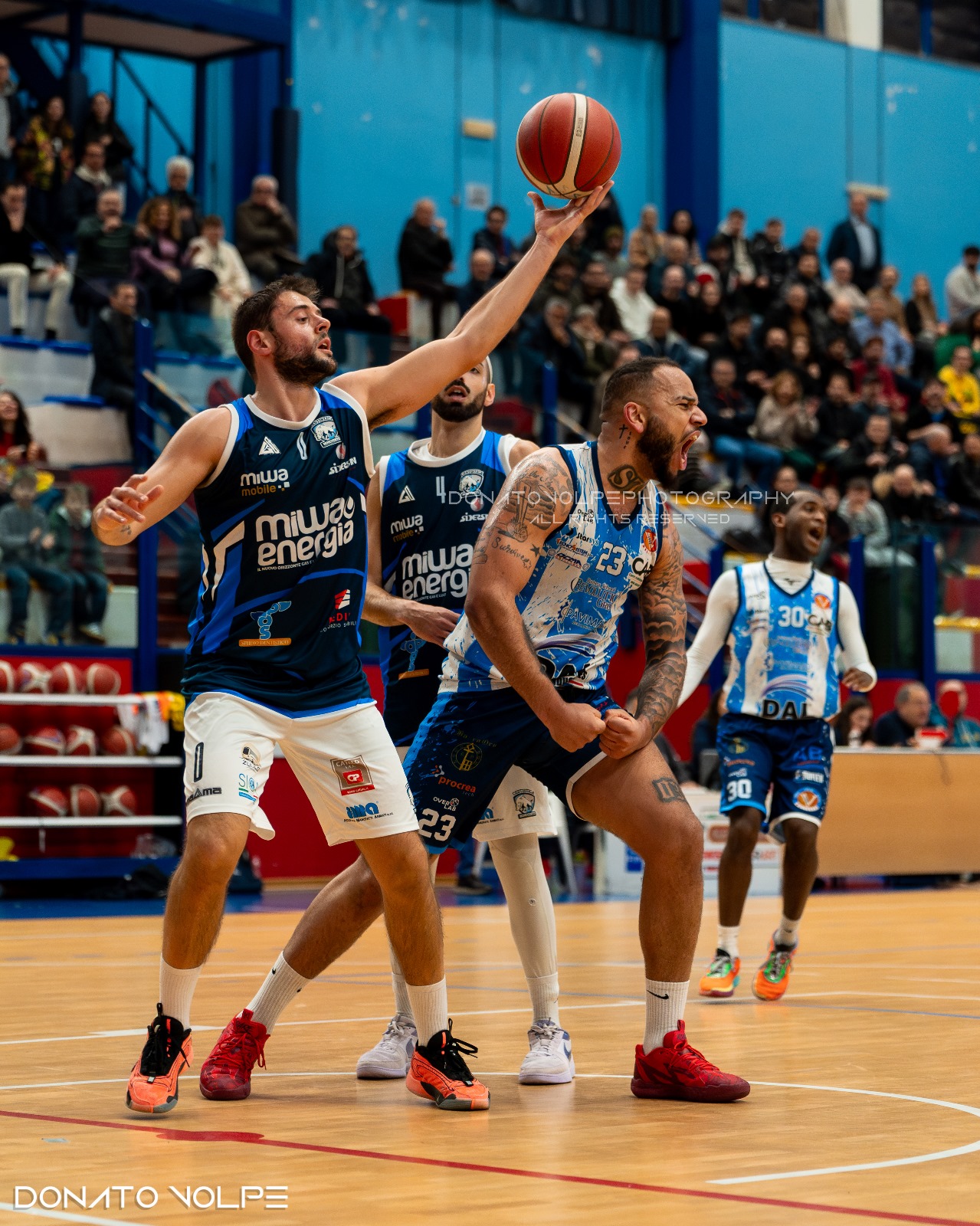 GRANDE IMPRESA DELLA DAI OPTICAL VIRTUS BASKET MOLFETTA CHE SI AGGIUDICA IN TRASFERTA LA SFIDA CONTRO LA DINAMO BASKET BRINDISI