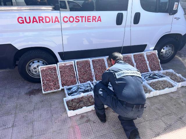 LA GUARDIA COSTIERA DI MOLFETTA EFFETTUA UN SEQUESTRO DI 100 KG DI PESCE DI VARIE SPECIE