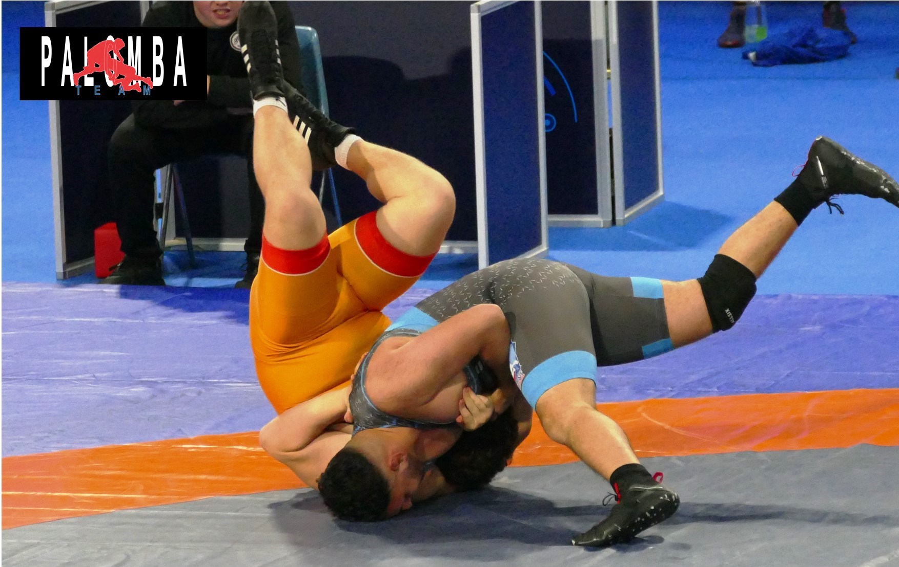 SI TERR DOMENICA 6 APRILE A BISCEGLIE IL TERZO COLLEGIALE DI LOTTA OLIMPICA DEL PROGETTO NAZIONALE DELLA FIJLKAM  LOTTA
