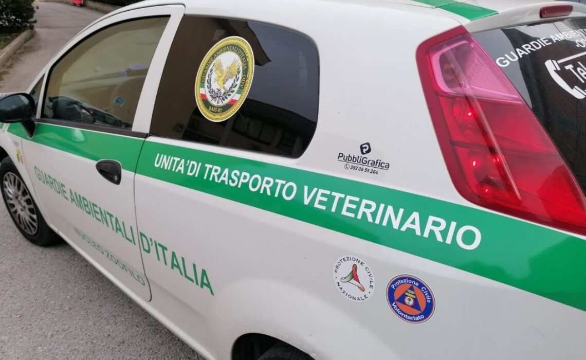NASCE A MOLFETTA IL TAXI PET, UN NUOVO SERVIZIO DI TRASPORTO PER GLI ANIMALI
