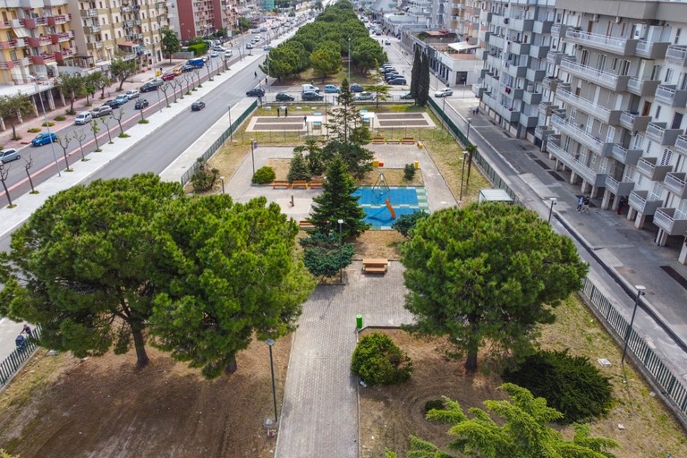 TAGLIO INDISCRIMINATO DI ALBERI SU VIA ACHILLE SALVUCCI E POTATURE DISCUTIBILI