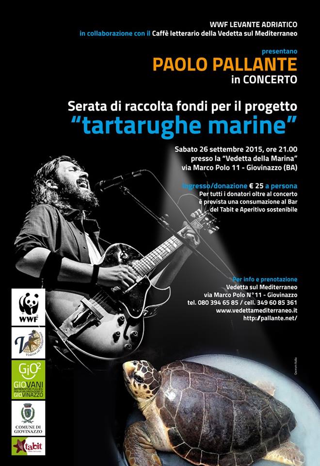 UNA RACCOLTA DI FONDI PER IL PROGETTO TARTARUGHE MARINE