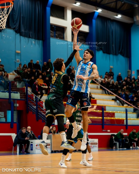 DOMENICA 7 DICEMBRE AL PALAPOLI LA DAI OPTICAL VIRTUS BASKET MOLFETTA AFFRONTA LA BASKET ACADEMY CATANZARO