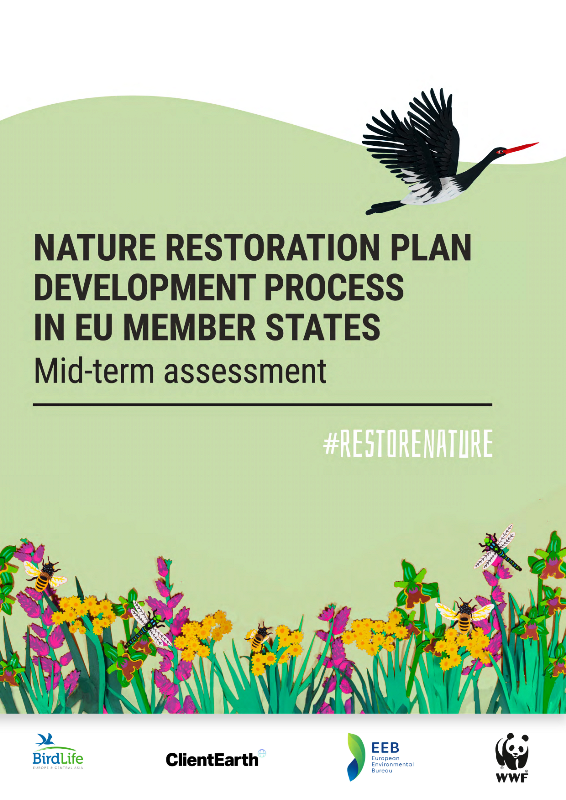 NUOVO REPORT DELLE ASSOCIAZIONI EUROPEE SULLA IMPLEMENTAZIONE DELLA NATURE RESTORATION LAW: SERVE UN CAMBIO DI PASSO