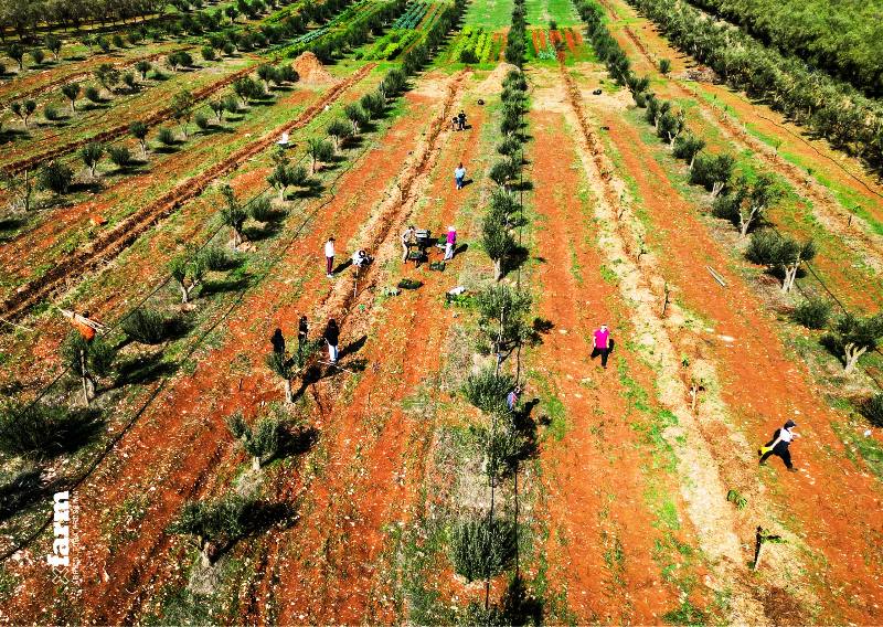 28% DELL�ITALIA RISCHIA DESERTIFICAZIONE, 90% DEI COMUNI ESPOSTI A RISCHI CLIMATICI. DALL�8X1000 DELL�ISTITUTO BUDDISTA ITALIANO SOKA GAKKAI 3,6 MILIONI PER PROGETTI AMBIENTALI