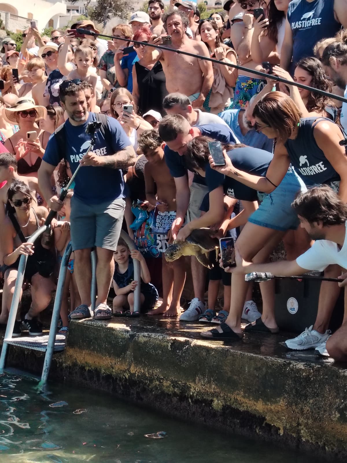 NOVE TARTARUGHE MARINE RESTITUITE AL MEDITERRANEO IN CONTEMPORANEA IN SEI LOCALIT� ITALIANE