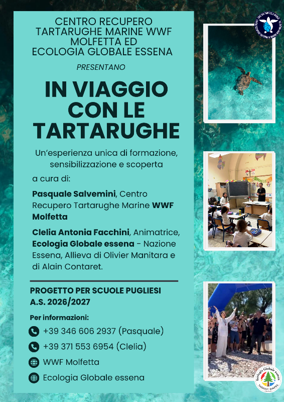 IL CENTRO RECUPERO TARTARUGHE MARINE WWF MOLFETTA ED ECOLOGIA GLOBALE ESSENA PRESENTANO �IN VIAGGIO CON LE TARTARUGHE�