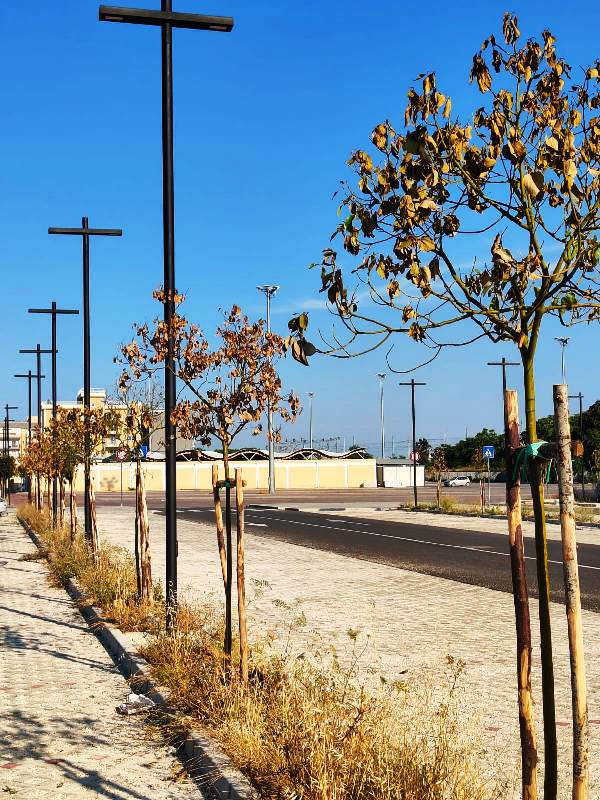A BISCEGLIE IL DIBATTITO SUL VERDE PUBBLICO RIACCENDE IL TEMA DELLA PIANIFICAZIONE AMBIENTALE