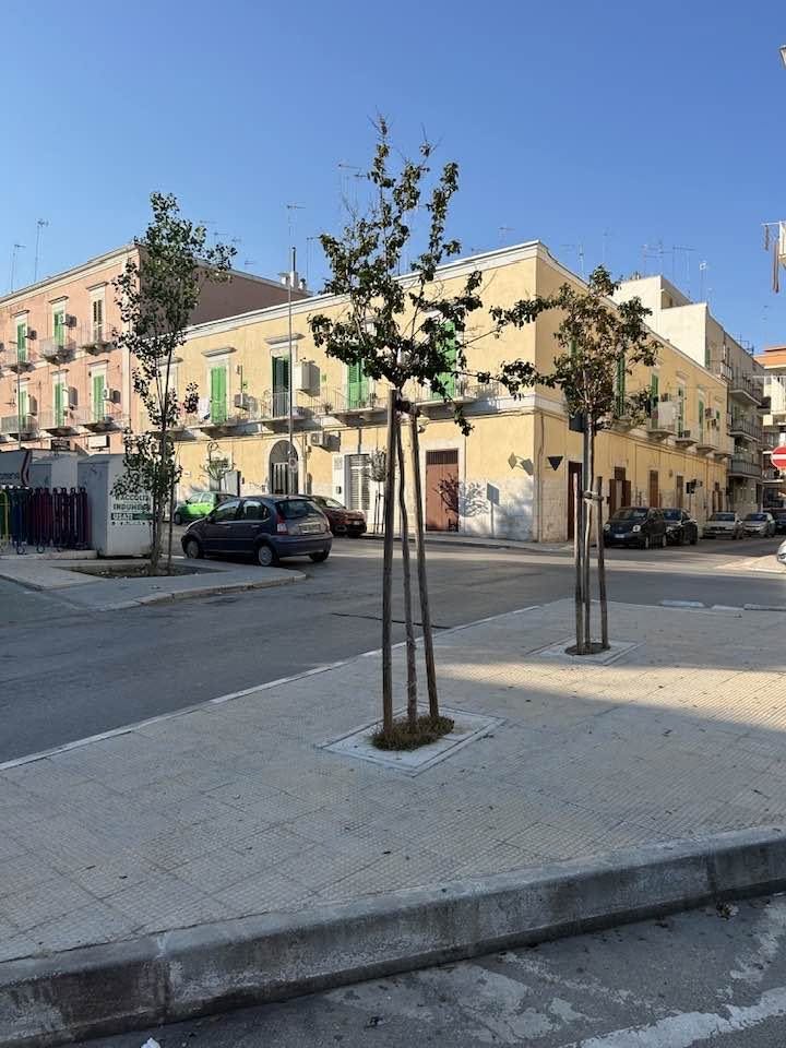 CON I GRANDI PROBLEMI LEGATI AL CALDO, SERVE UNA RIFORESTAZIONE DELLA CITTA'