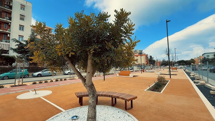 VERDE PUBBLICO A MOLFETTA, IL COMUNE INGAGGIA UN ESPERTO DEL VERDE PER IL CONTROLLO 