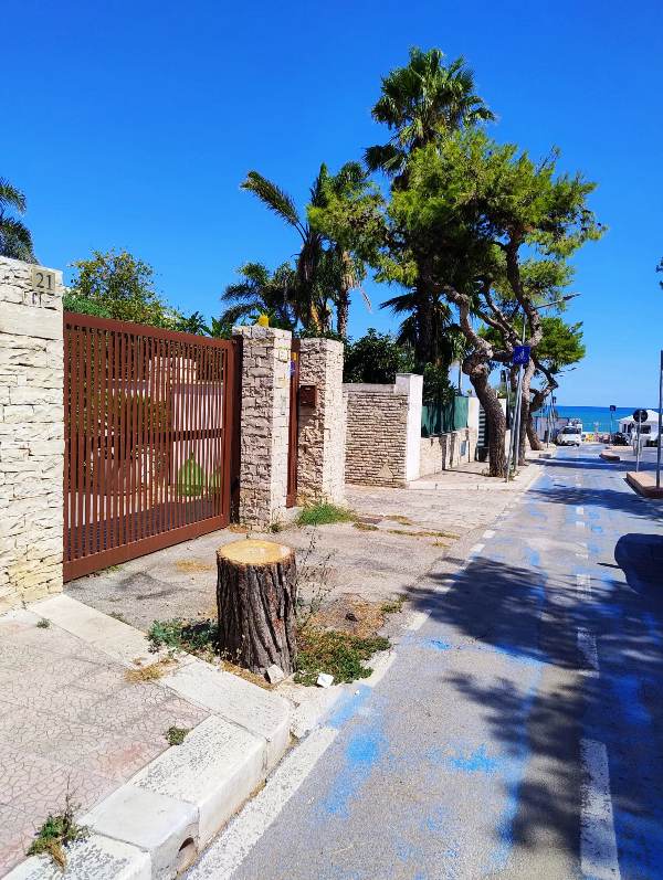 BISCEGLIE, LE ASSOCIAZIONI AMBIENTALISTE: 