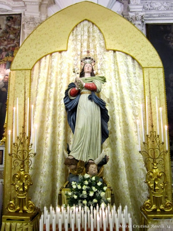 LA FESTA DELL'IMMACOLATA A MOLFETTA, UNA GIORNATA RICCA DI TANTI EVENTI