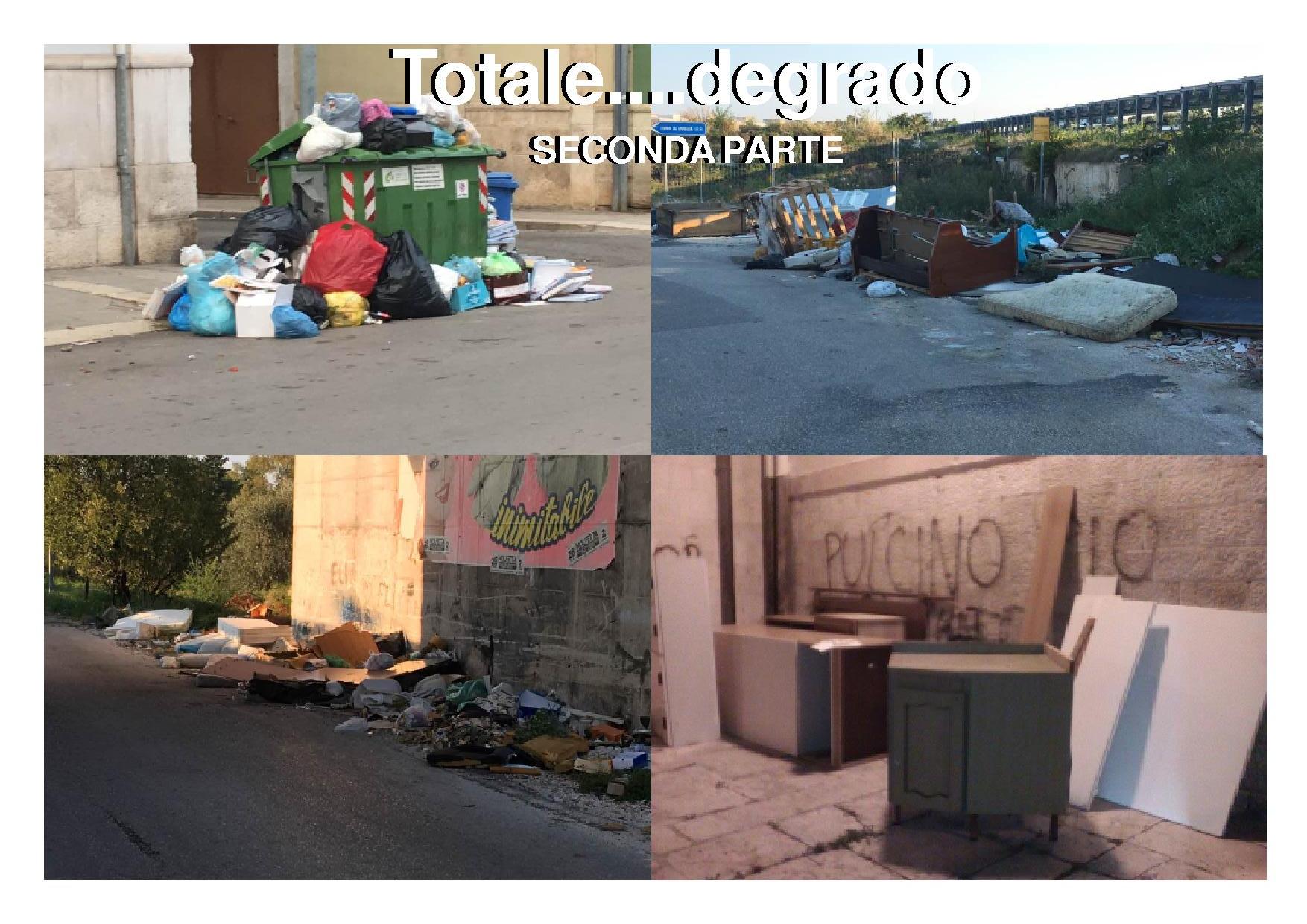 DOPO TRE CAMPAGNE ELETTORALI DI PROPAGANDA SUL PORTO, IL SENATORE AZZOLLINI SI DEDICA AI RIFIUTI
