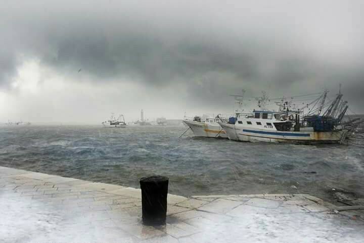 LALLARME MALTEMPO NON RISPARMIA NEANCHE IL PORTO DI MOLFETTA. IL FORTE VENTO RISCHIA DI DANNEGGIARE I PESCHERECCI 