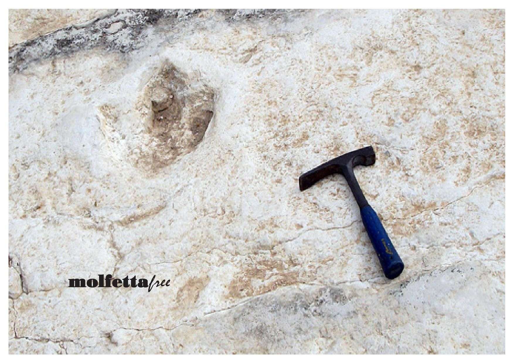 QUEL SILENZIO CADUTO SULLAREA DEI DINOSAURI SU VIA RUVO