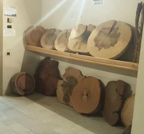 TANTI I VISITATORI DELLA CIVICA SILOTECA DEL CENTRO STUDI MOLFETTESI IN MEMORIA DI RAFFAELE CORMIO