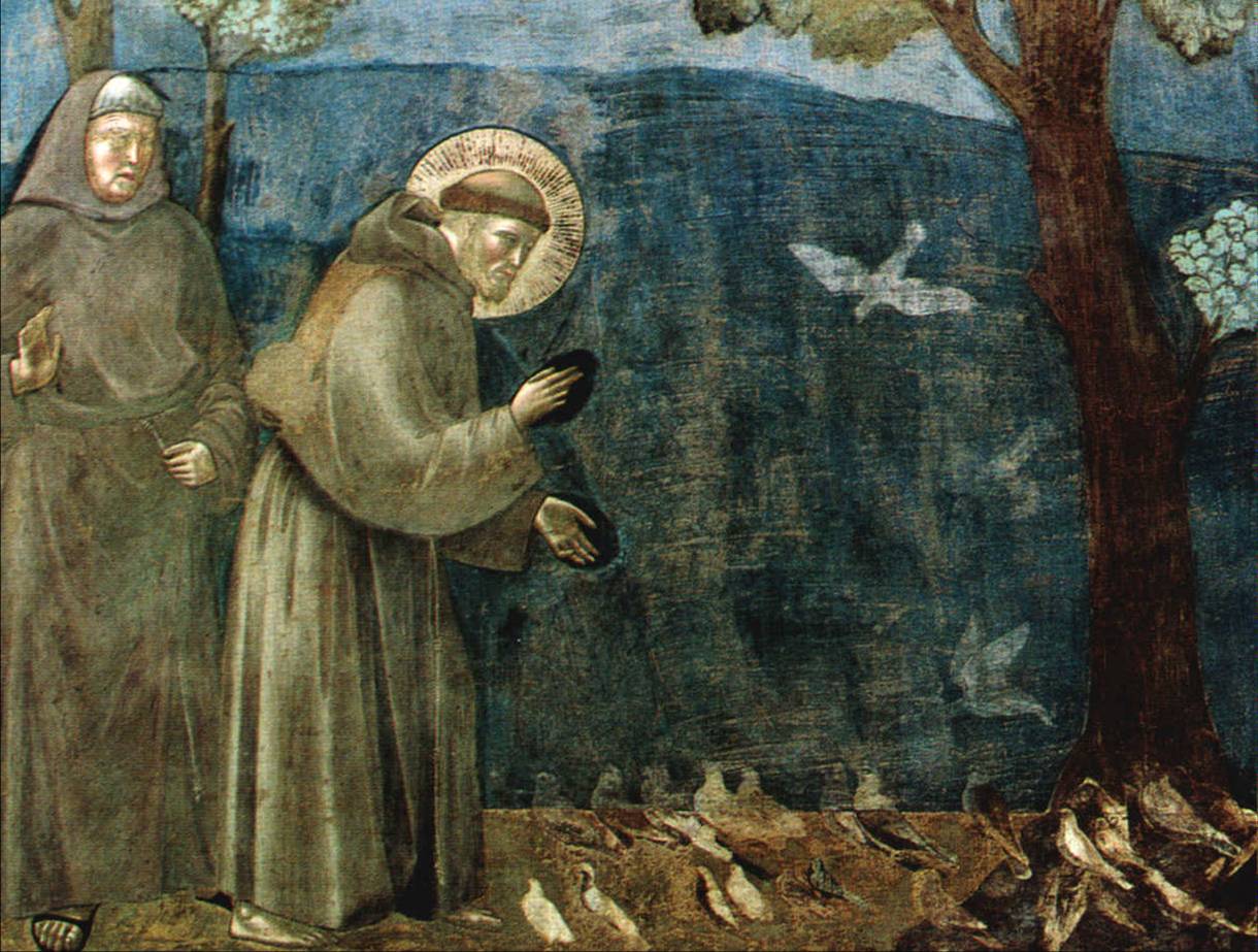 OGGI 4 OTTOBRE SAN FRANCESCO. LE CELEBRAZIONI PER IL PATRONO D'ITALIA A MOLFETTA