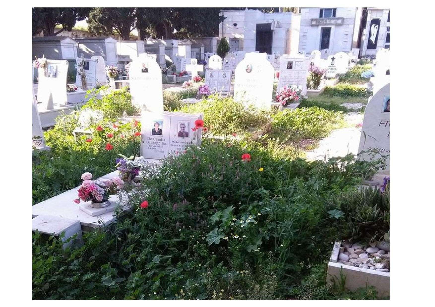 AL CIMITERO PORTATE SOLO FIORI ARTIFICIALI CHE LE FONTANE NON HANNO ACQUA....