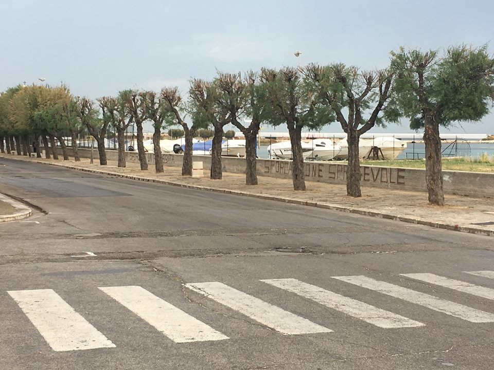 DOPO LE LAMENTELE DEI CITTADINI E GLI ARTICOLI DI DENUNCIA DI MOLFETTAfree, INTERVIENE PERSONALMENTE IL PRESIDENTE DELLA MULTISERVIZI GIULIO LA GRASTA