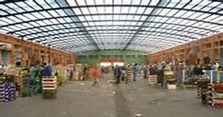 NUOVE ASSEGNAZIONI AL MERCATO ORTOFRUTTICOLO GENERALE DI MOLFETTA