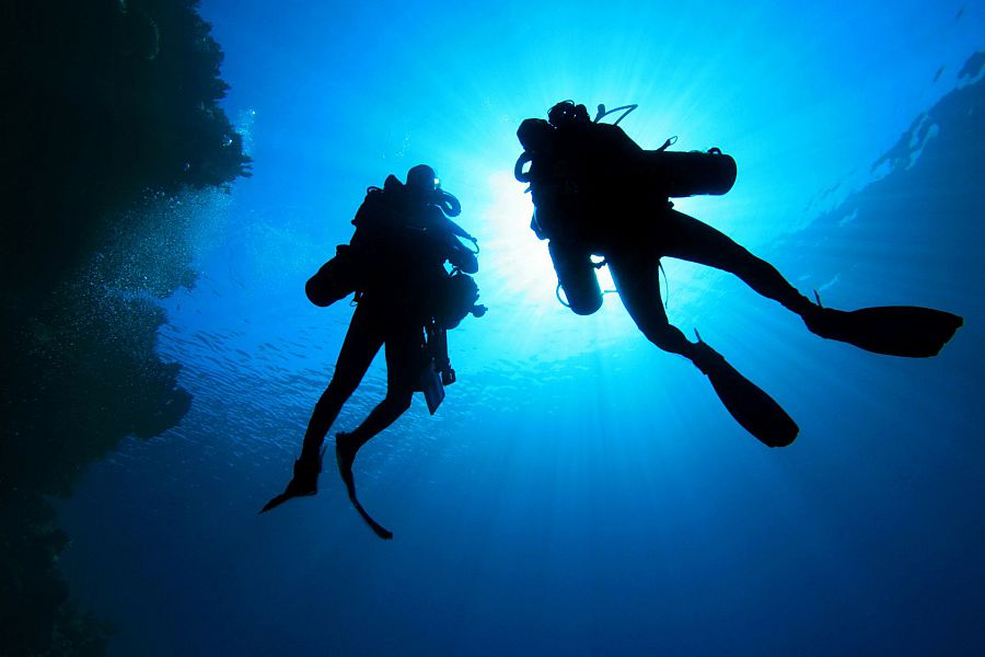 IL NUCLEO SUB DI MOLFETTA METTE IN GUARDIA DALLE SCHIUME BIANCHE O COLLOIDI