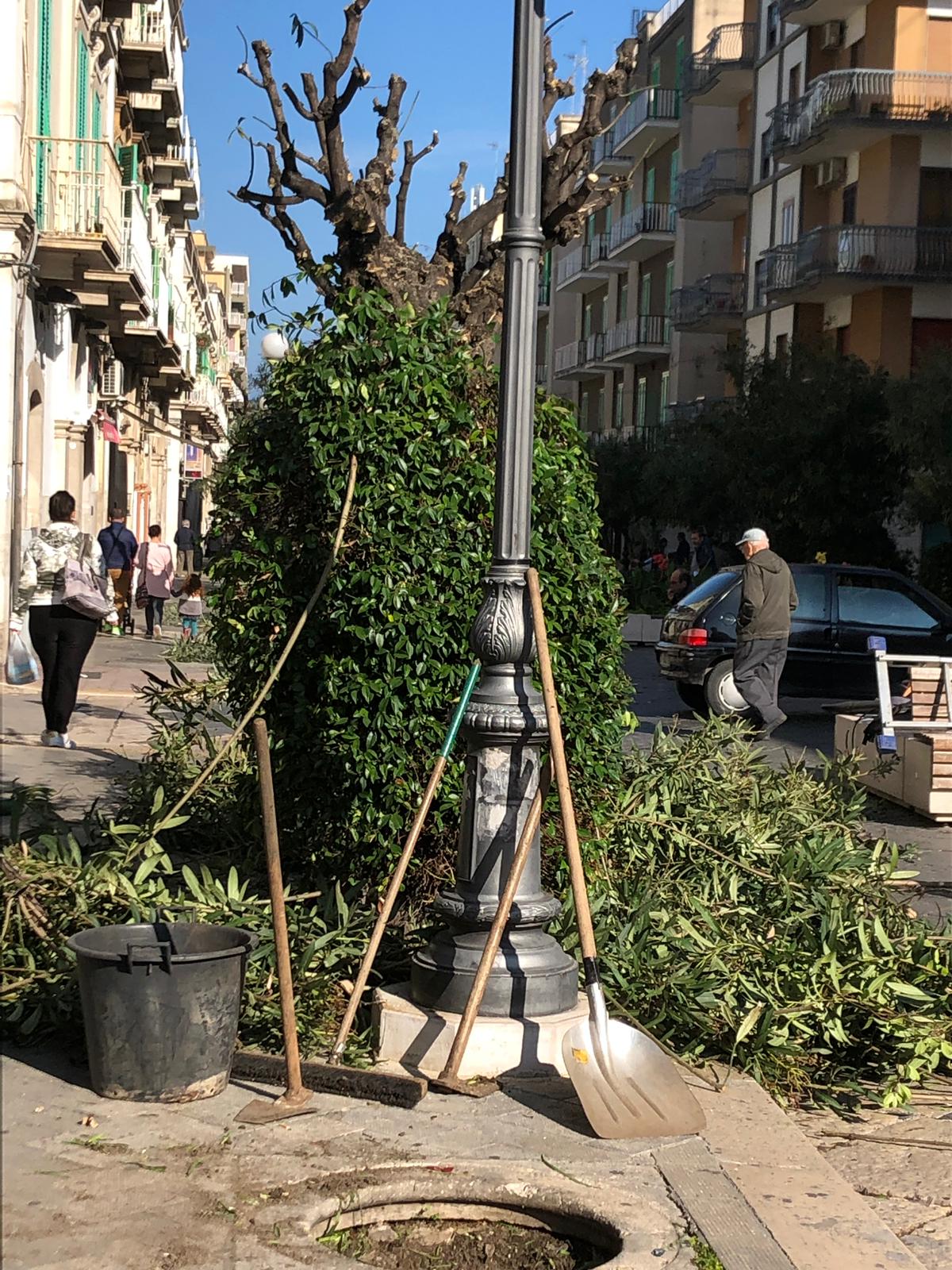 UNA CITTA' SENZA STRISCE PEDONALI, TANTI RIFIUTI IN GIRO E VERDE MAL CURATO