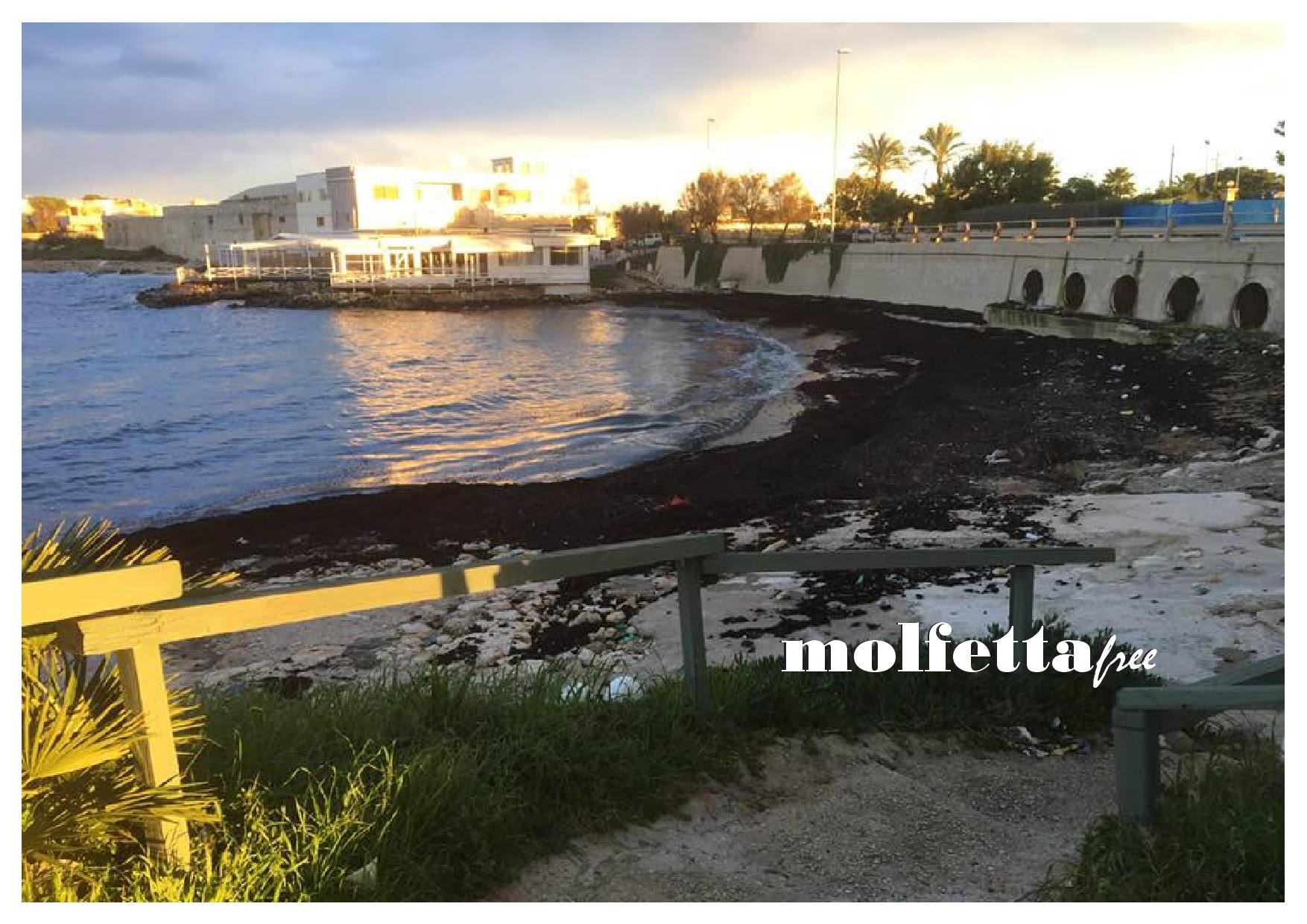 RIPRENDE LATTIVIT DELLA SOCIET POSEIDON NELLO SPECCHIO ACQUEO DEL PORTO DI MOLFETTA PER I RILIEVI BATIMETRICI DEI FONDALI
