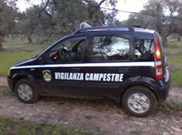 CONVENZIONE CON I VIGILI CAMPESTRI DI MOLFETTA PER UNA SERIE DI SERVIZI NELL'AGRO