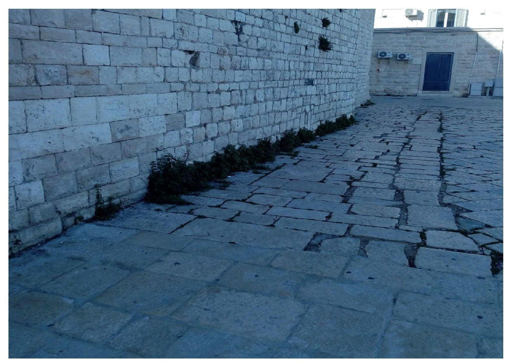 ERBACCE SUL DUOMO DI MOLFETTA: UN APPELLO ALLE ISTITUZIONI