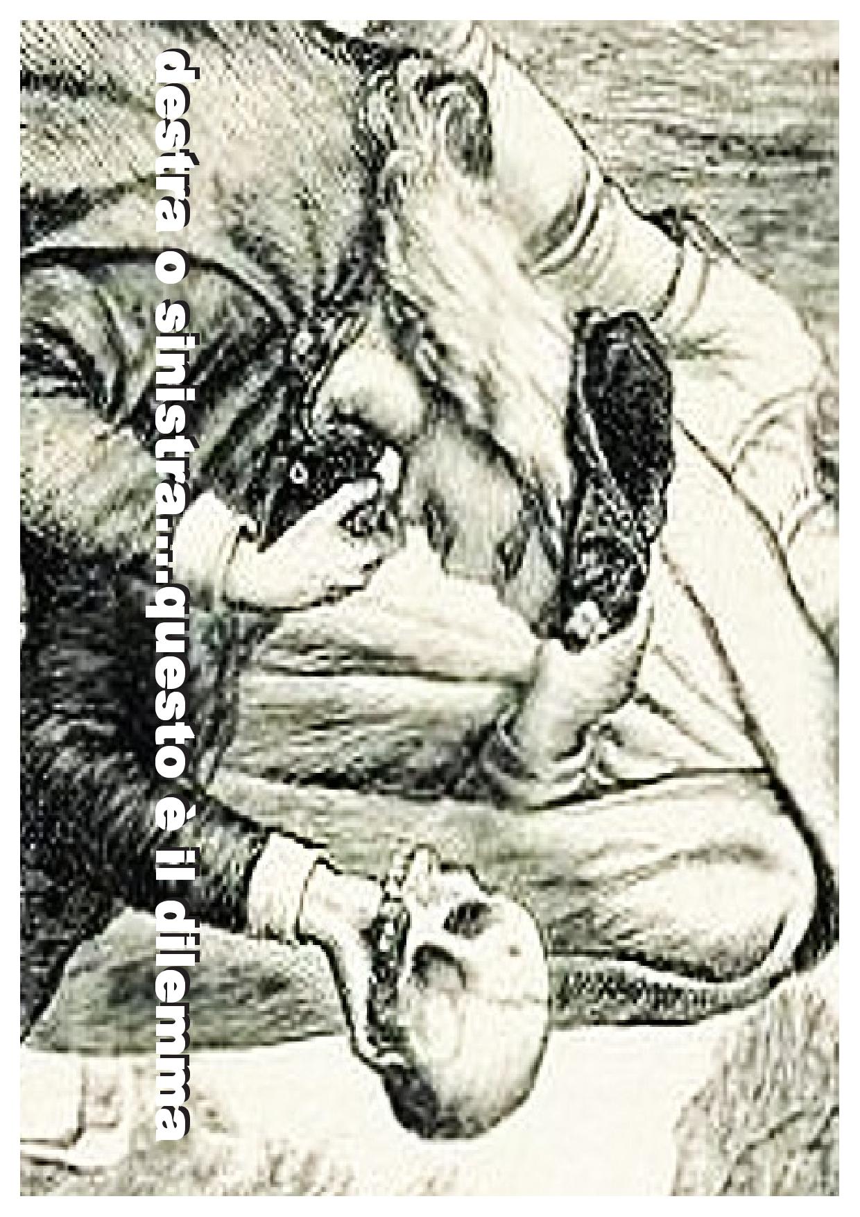 ANCHE QUEST'ANNO CONFERMATO IL PRESEPE VIVENTE A MOLFETTA 

