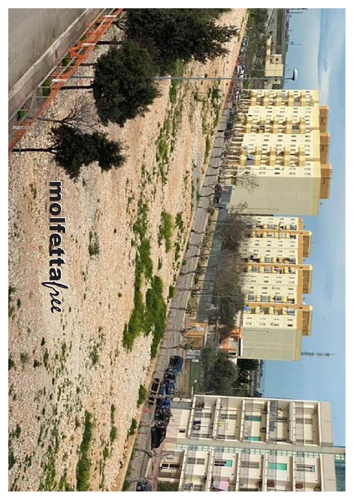 AFFIDATO INCARICO AL GEOLOGO PALOMBELLA PER INDAGINE GEOTECNICA E GEOLOGICA AREA MERCATALE