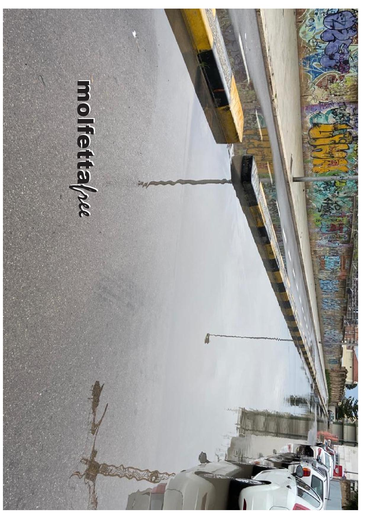 PISTA CICLABILE A MOLFETTA EMERGONO LE PRIME CRITICIT