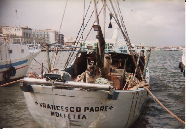 PER CELEBRARE LA GIORNATA DELL'UNIT NAZIONALE E DELLE FORZE ARMATE, INIZIATIVA DELLA.N.M.I. A MOLFETTA PER RICORDARE LE VITTIME DEL MOTOPESCHERECCIO FRANCESCO PADRE
