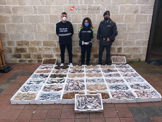CONTROLLI SULLA FILIERA DELLA PESCA DA PARTE DELLA GUARDIA COSTIERA UNITAMENTE ALLA TENENZA DELLA GUARDIA DI FINANZA E LA POLIZIA LOCALE DI MOLFETTA 