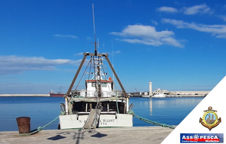 SABATO 22 GENNAIO IL TECNICO NAUTICO AMERIGO VESPUCCI ORGANIZZA VISITE GUIDATE A BORDO DELLA MARINERIA MOLFETTESE