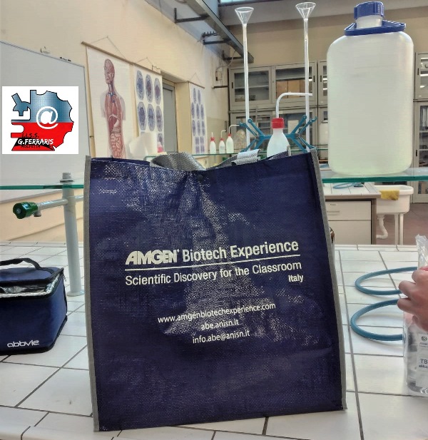 ALLI.I.S.S. GALILEO FERRARIS DI MOLFETTA SI SPERIMENTA UN INNOVATIVO PROGRAMMA DI INSEGNAMENTO DELLE DISCIPLINE SCIENTIFICHE E DELLE BIOTECNOLOGIE
