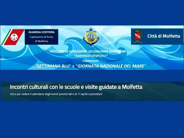 LEVENTO TARTA-FREE, LA LIBERAZIONE DI TARTARUGHE MARINE, CONCLUDE LA 